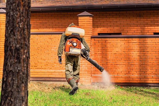 Bed Bug Clearance Verification and Documentation in Alexandria